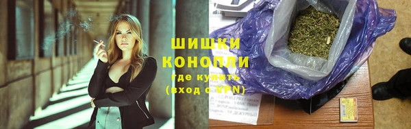бошки Осинники