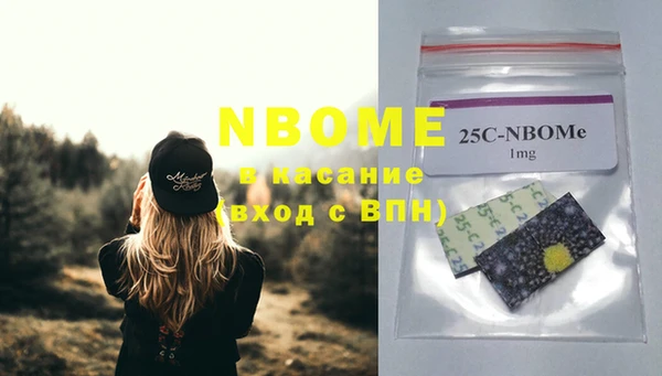 бошки Осинники