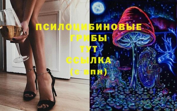 бошки Осинники