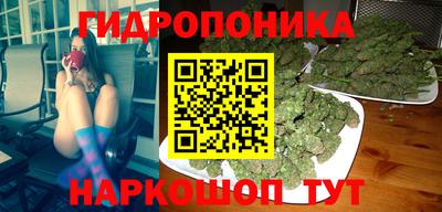 jwh Будённовск