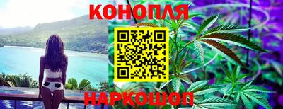 jwh Будённовск